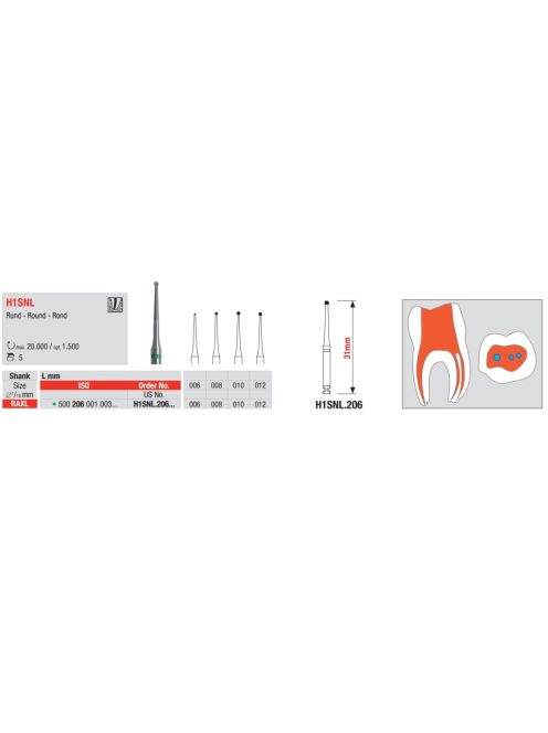 Edenta H1SNL.206.010 Endobur 500 206 001 003 010,RAXL