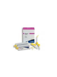   DMG Silagum AV-Light Fast 2x50ml 904714 +12xautomix tips,12xintraoral tips