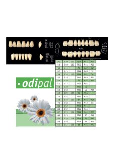 Odipal A1 alsó front U16 3 rétegű