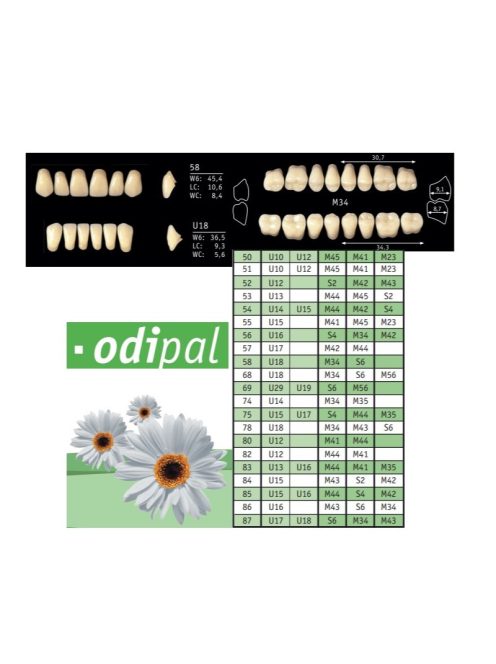 Odipal A1 alsó front U16 3 rétegű